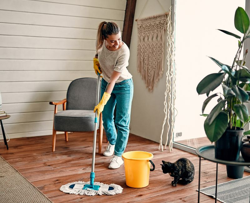 Spot Cleaners, Floorcare Experts